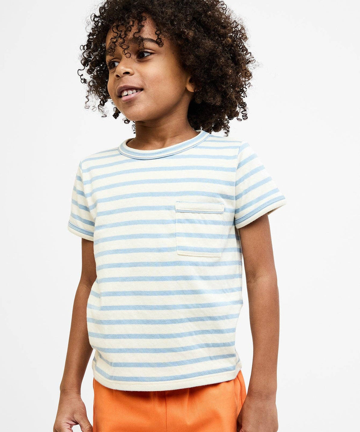 Organic Willie Tee - Dusty Blue Stripe