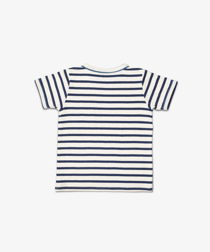 Organic Willie Tee - Navy Stripe