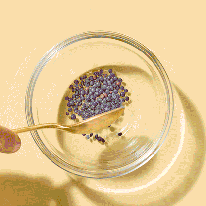 Galactic Journey Potion Kit