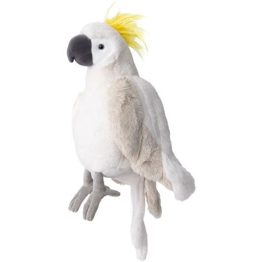 Mango Cockatoo