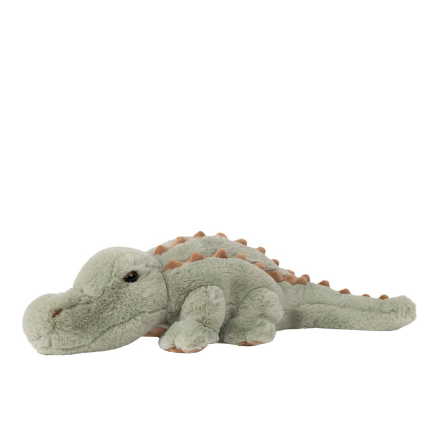 Maximus Alligator