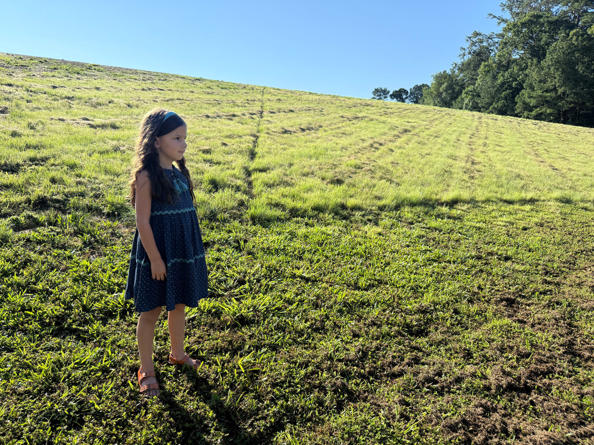 The Layla Dress