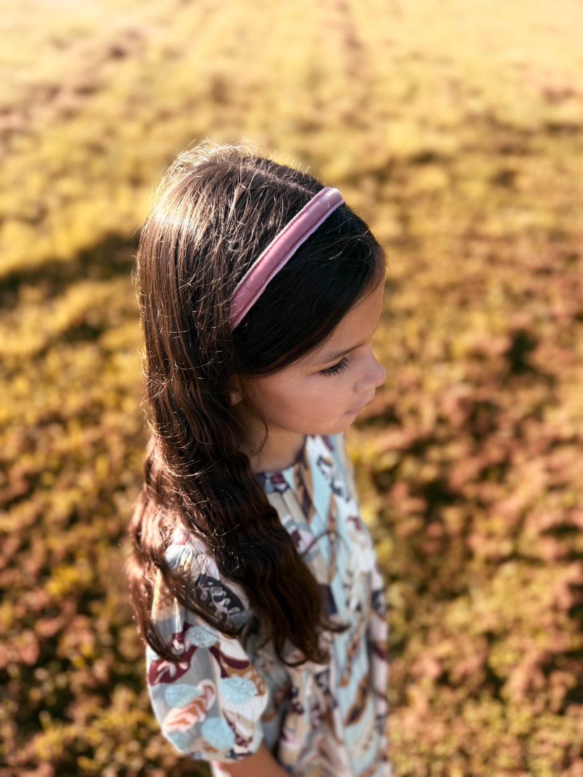Elaine Velvet Headband