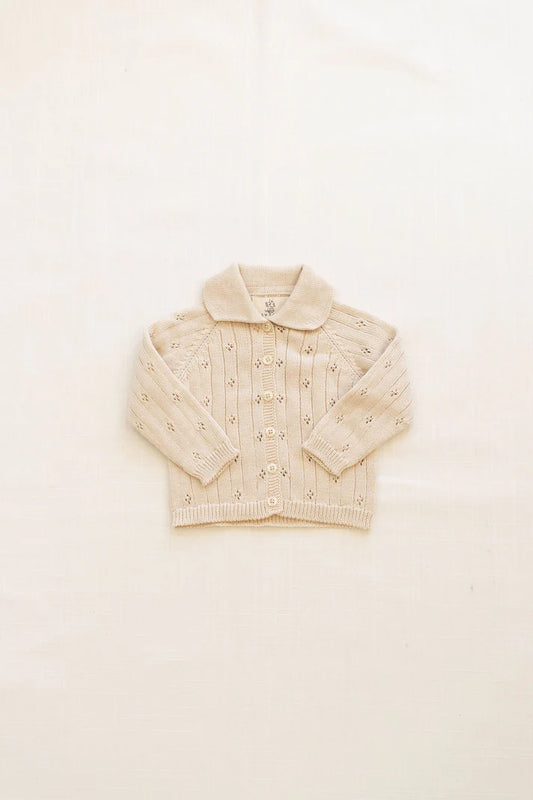 Heirloom Pointelle Cardigan - Sugar