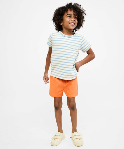 Organic Willie Tee - Dusty Blue Stripe