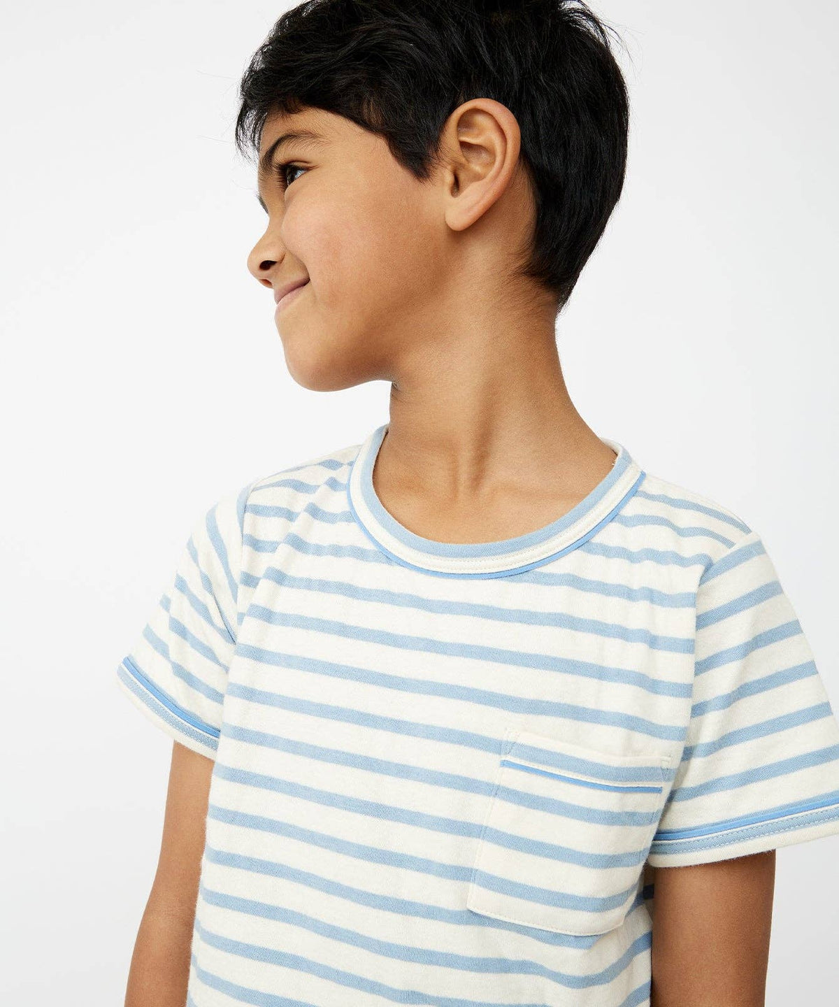 Organic Willie Tee - Dusty Blue Stripe